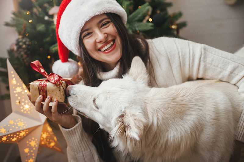 The Best Gift For A Dog Lover This Holiday? Pamper Their Pup