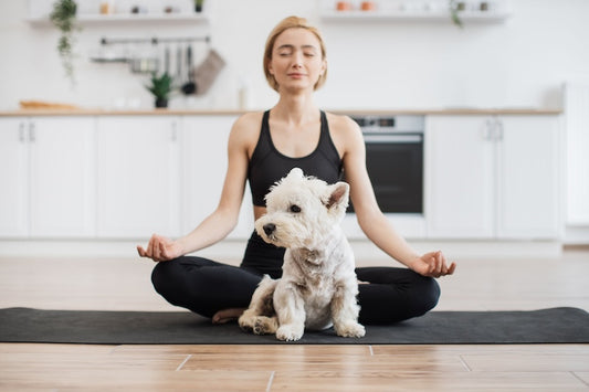 Soothing Your Pup: Effective Ways to Calm Dog Anxiety