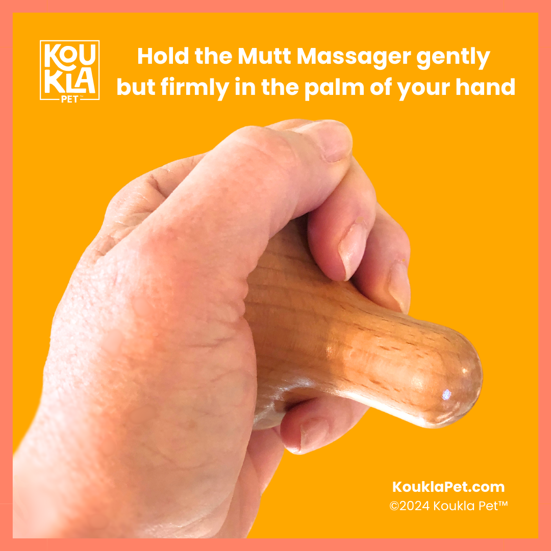 Bow Wow Bliss® Mutt Massager Doggy Relaxation Kit