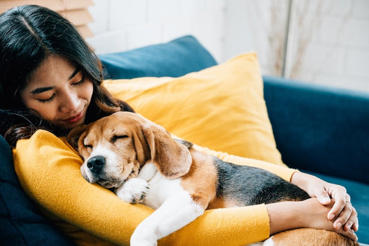 Quick Tips for Bonding with Your Dog