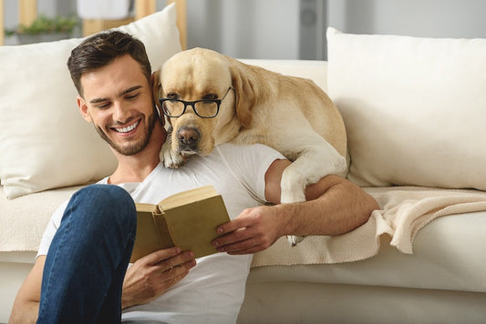 5 Key Benefits of Canine Massage Every Pet Parent Should Know