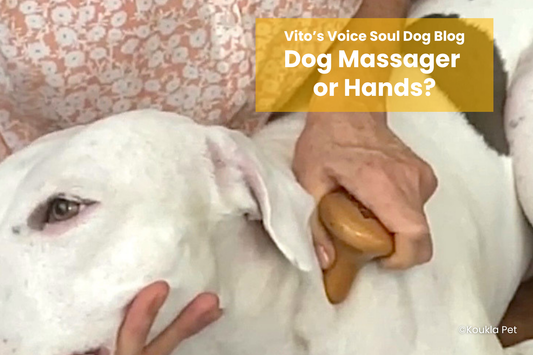 Do I Need a Dog Massager, or Can I Use My Hands?