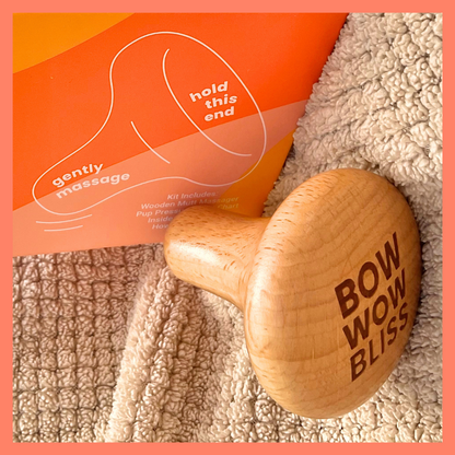 Close-up of Bow Wow Bliss wooden dog massager showing engraved design and smooth beechwood finish
