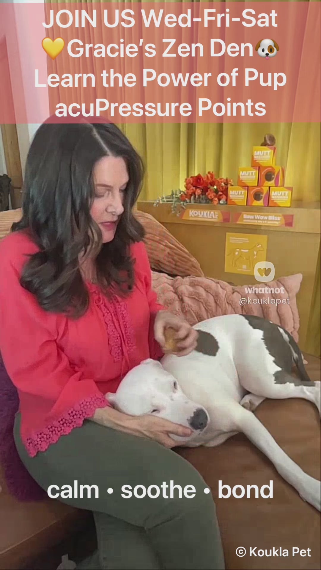 Load video: Video promo of Bow Wow Bliss Mutt Massager and Pup Pressure Point. Answering questions, helping your dog relax, and bringing them comfort and calm, whether itchy, anxious, aging or achy dogs. Also the best way to pamper your pup.